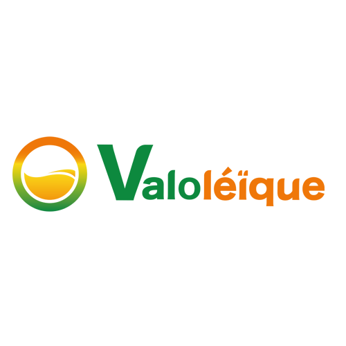 valoleique Boton Gouy